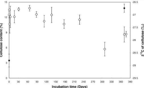 Fig. 4. Temporal variation of α-cellulose content (open circle) and of its isotopic composition (δ 13 C, closed squares)