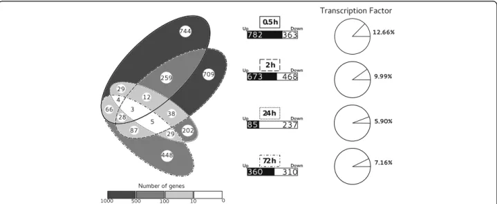 Fig. 1 Global analysis of DEG after bending in poplar stem. Venn diagram shows the distribution and the overlaps of DEG at 0.5, 2, 24 and 72 h PB