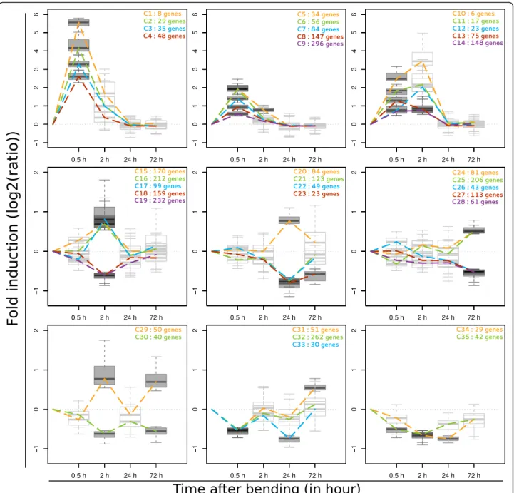 Fig. 3 K-means clustering of gene expression data. A k-means clustering was performed on DEG from the time-course and two-bendings experiments.