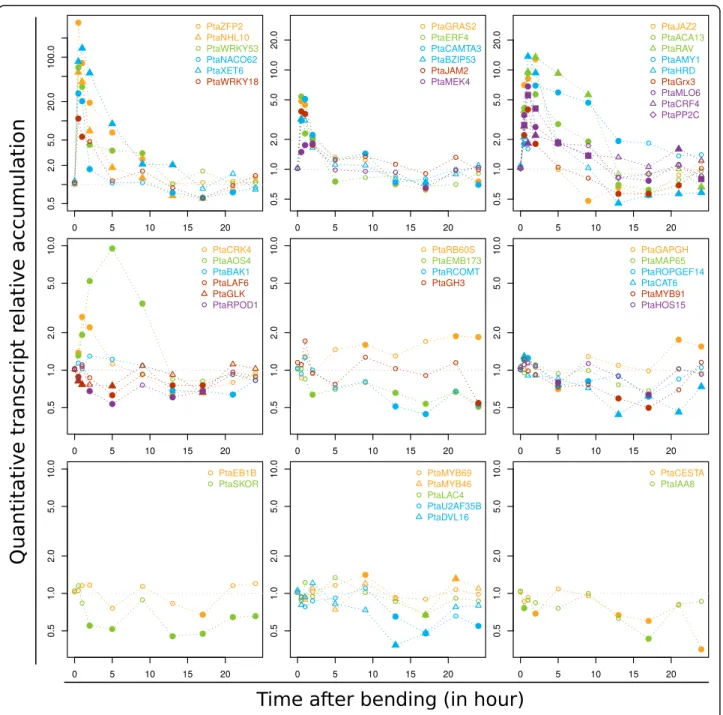 Fig. 4 Expression profiles of selected genes along a refined time-course. Total RNAs were extracted from the stems of control plants and from bent stems at different times (0.5, 1, 2, 5, 9, 13, 17, 21 and 24 h) after bending