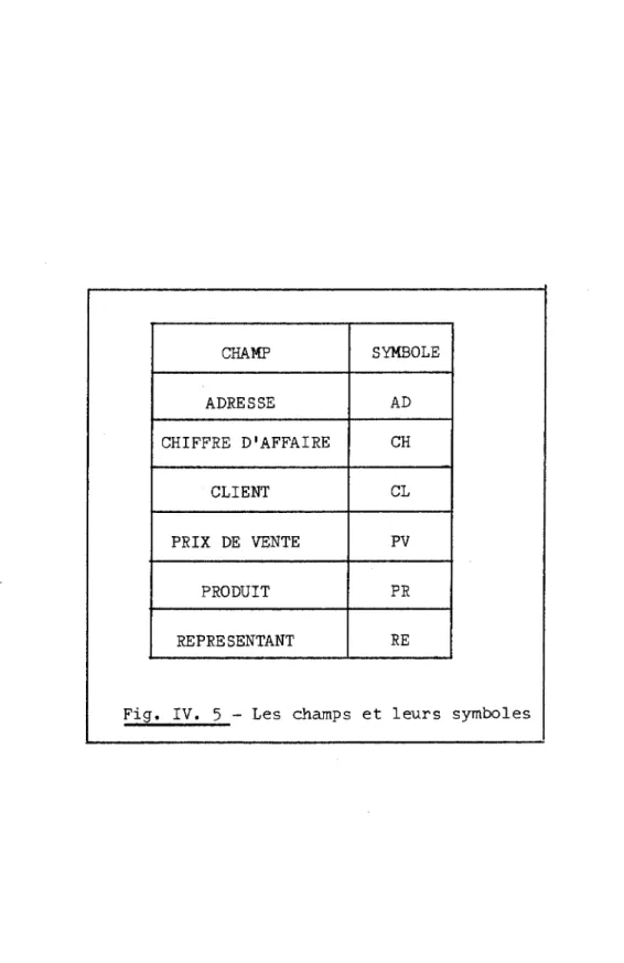 Fig.  IV.  5  - Les  champs  et  leurs  symboles 