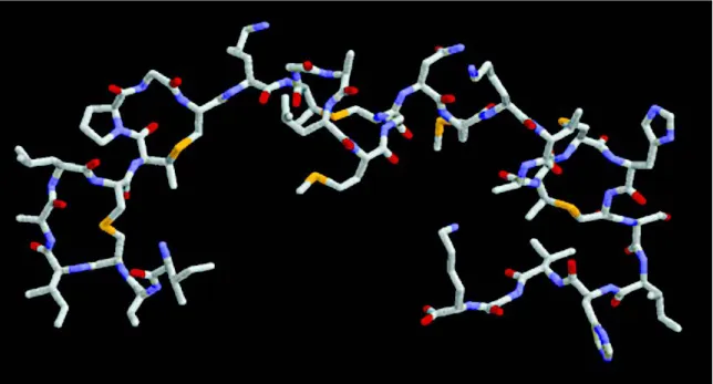 Figure 4 : Structure tridimensionnelle de la nisine. D’après Chatterjee, 2005 62  - Détermination structurale  par RMN (PDB : 1WCO)