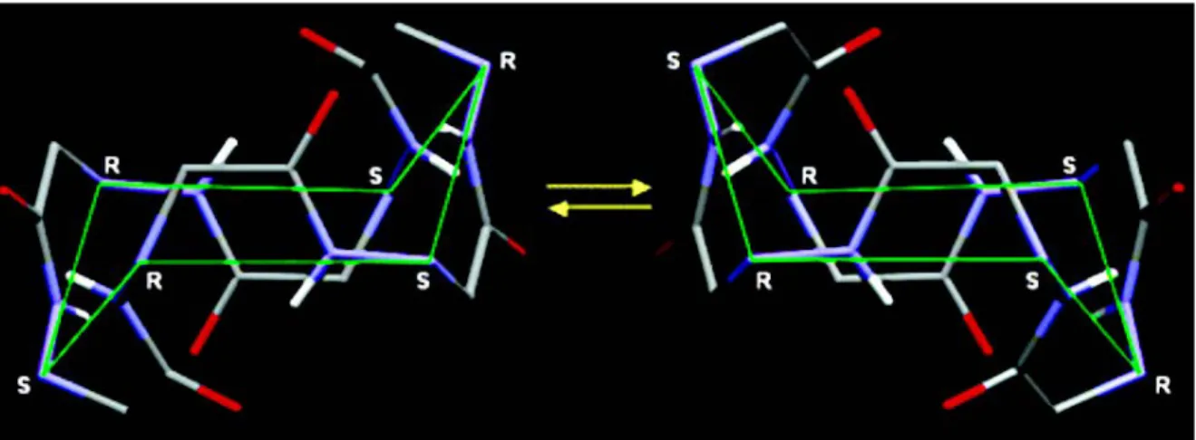 Figure 12 : représentation des deux structures adoptées par un aza-b 3 -cyclohexapeptide