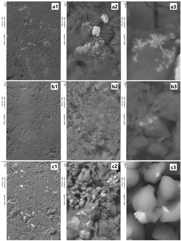 Figure 5. Electron Backscattered SEM images showing the metallic silver particles in the samples