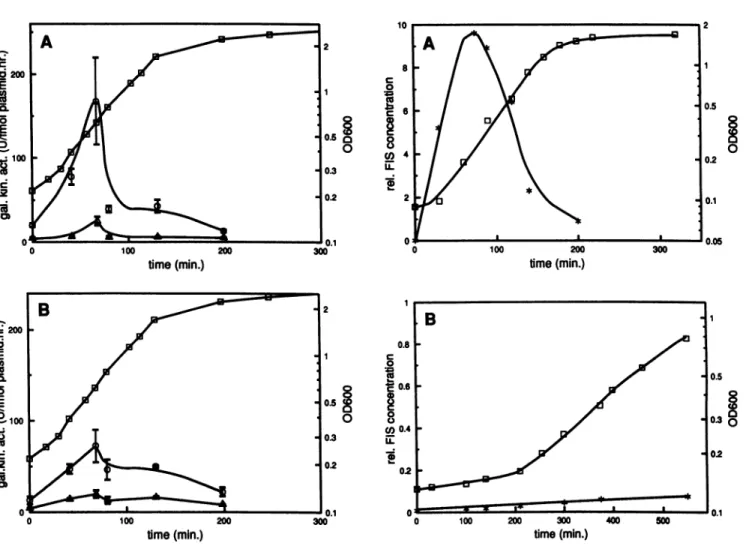 FIG. 3. Cellular FIS concentration during growth cycle. Over- Over-night cultures of the wild-type strain MC1000 were diluted to an ODC of 0.15 and grown at 37°C in LB medium plus 1% glucose (A) or in minimal medium (1% succinate) (B)