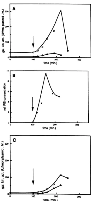 FIG. 4. Response to an extensive nutritional shift-up. Cells grown overnight in minimal medium were diluted 10-fold with minimal medium and grown at 37°C for 2 h, whereafter (arrow) the medium was shifted to LB medium plus 1% glucose
