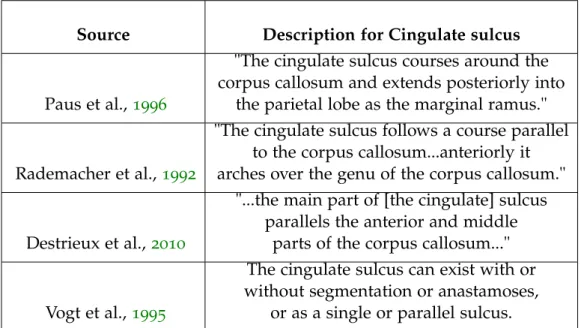 Table 7.5: Descriptions of the Cingulate sulcus in four exemplary neuroanatomical sources.