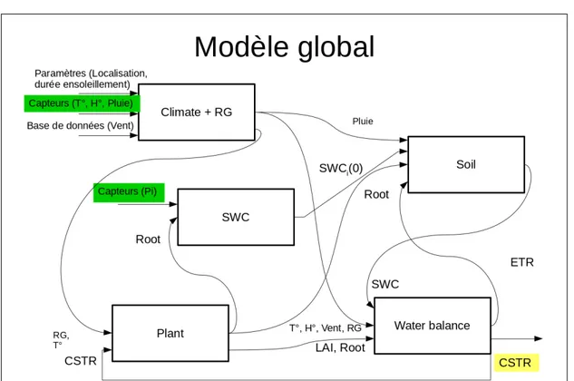 Figure 11 – Schéma du modèle WEEDRIQ avec ses di ﬀ érents sous-modèles.