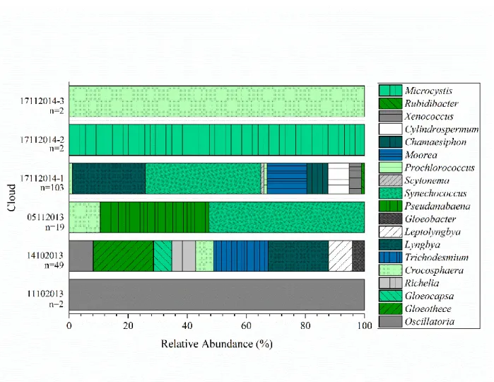 Figure 2: Relative abundance of bacterial genera associated with detected photosynthetic genes  860 