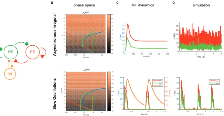 FIG. 4. Mean field dynamics in a RS-FS network: (A) Sketch of the network structure. (B) Nullclines representation of the dynamical system in the phase space for 2 different dynamical regimes (top: Asynchronous Irregular, bottom: Slow oscillations)