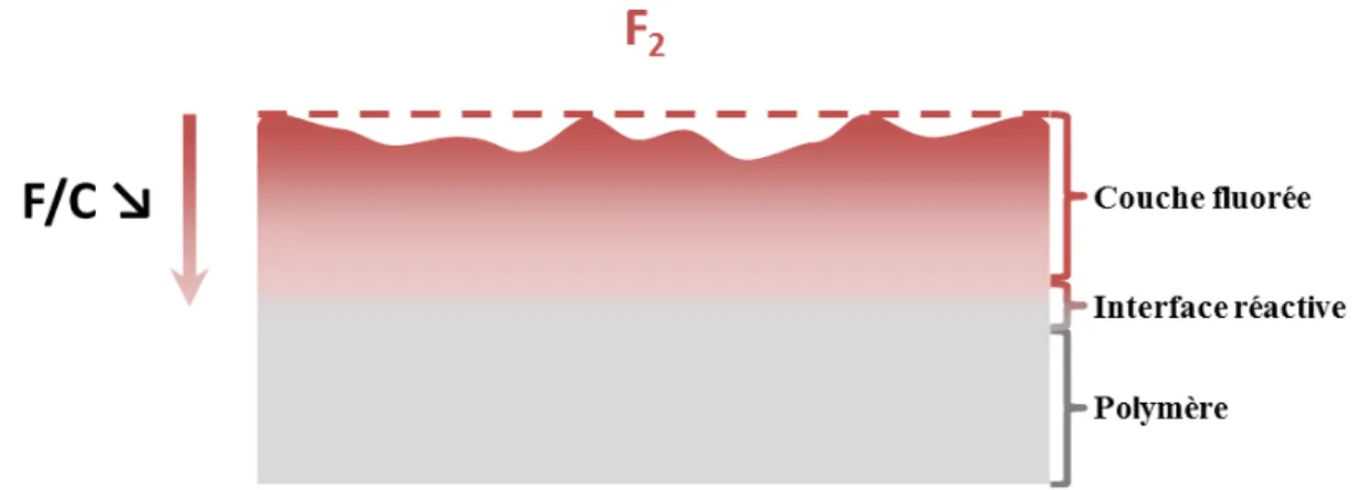 Figure I-35 : Gradient de concentration de fluor à la surface d’un polymère fluoré 