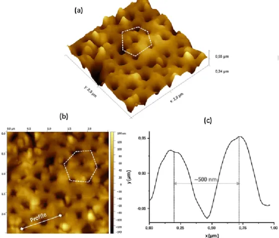 Fig. 6. (a) 3D AFM image, (b) 2D AFM image and (c) depth profile of the amorphous nanopatterned coating after removal of PS NPs.