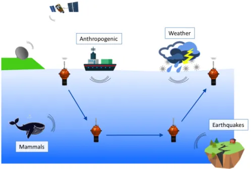 Figure 1.1 – Cycle de fonctionnement d’un flotteur Mermaid enregistrant différents types de signaux acoustiques dans les océans