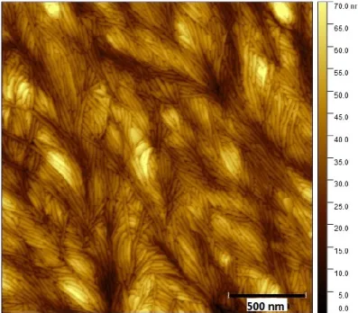 Figure 2. 8 Topographic AFM image of PEO thin film (  150 nm), deposited with 17.5  g/L PEO solution with spin speed of 750 rpm on Si/SiO 2  substrate; (inset) shows the  section across which the RMS roughness is measured.