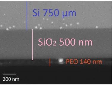 Figure 2. 10 SEM image on the cross section of vertical devices showing Si/SiO 2 /PEO  layer.