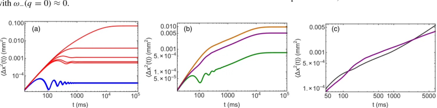 FIG. 3. MSD (mm 2 , logarithmic scale) as a function of time (ms, logarithmic scale). (a) Some eigenmodes of the optical branch (blue) and of the acoustical branch (red)