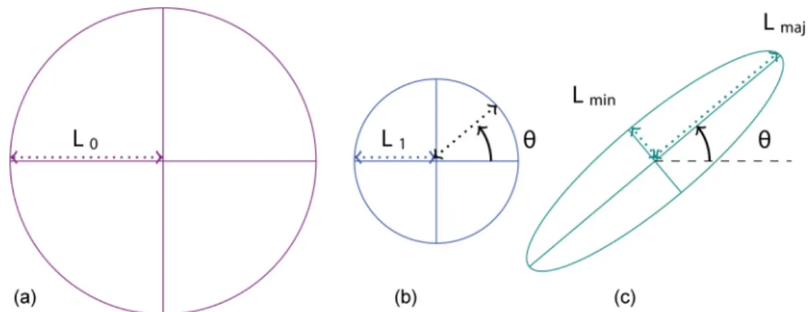 FIG. 7. Strain: isotropic and anisotropic contributions. Under a purely isotropic deformation, or growth (positive or negative), (a) a disk of radius L 0 transforms into (b) a disk of radius L 1 
