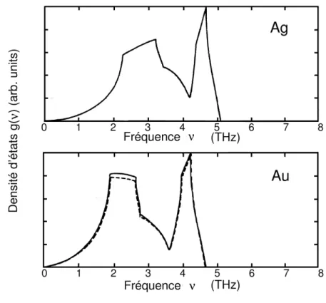 Fig. 1.7 – Densit´ e d’´ etats des phonons dans l’argent et dans l’or (d’apr´ es la r´ ef´ erence [Lynn et al.(1973)]).