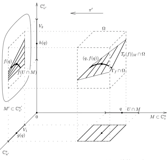 Figure 10 . La sous-vari´ et´ e analytique r´ eelle T p (f )| M ∩ Ω est feuillet´ ee par des vari´ et´ es complexes de dimension s ; cette structure de feuilletage se projette sur M 0 par π 0
