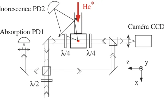 Fig. 4.2 – Sch´ ema de la d´ etection. En tournant une lame λ/2, on peut cr´ eer soit une onde progressive pour mesurer l’absorption sur la photodiode PD1, soit une onde stationnaire, o` u les deux faisceaux sont polaris´ es circulairement dans la r´ egion