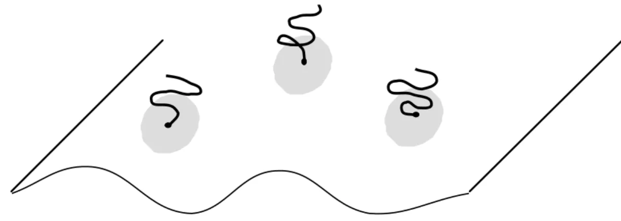 Fig. 3.2 – Membrane d´ecor´ee de polym`eres comme patches de rigidit´e κ 0 + δκ.