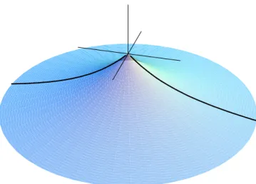 Fig. 3.6 – Solution analytique pour le profil d’une membrane libre. Aux courtes distances, le polym`ere
