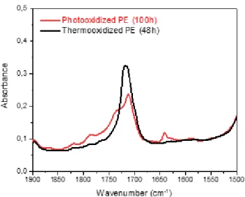 Fig. 1. Infrared spectra of PE films either photooxidized during 100h or thermooxidized  during 48h – zoom in the absorption range of carbonyl (1900-1500 cm -1 )
