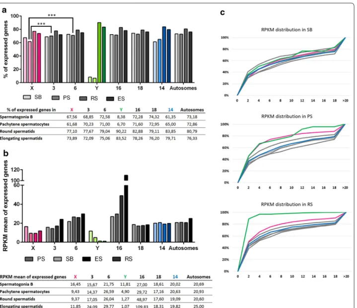 Fig. 4  Dynamics of XY gene expression and autosomal gene expression during spermatogenesis