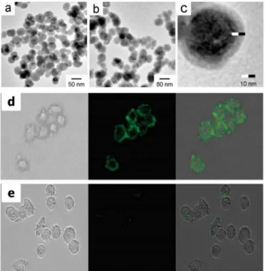 Figure 14 : Exemples de structure cœur-coquille pour la détection par up-conversion de cellules  cancéreuses 111