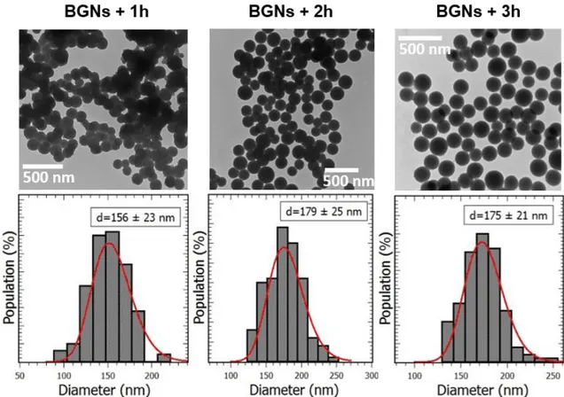 Figure 1. TEM images and size distribution histograms of BGNs+1h, BGNs+2h and BGNs+3h