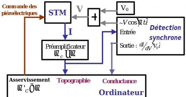 Figure II.12 : schéma du montage expérimental permettant de faire de l’imagerie de  conductance en boucle de régulation fermée 