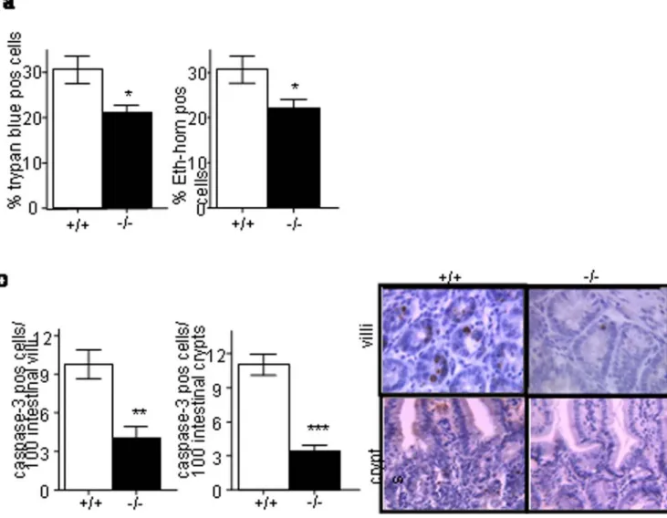 Fig. 4b) surrounding PPs, suggesting that cell death induced by Yersinia infection was at least in part related with apoptosis.
