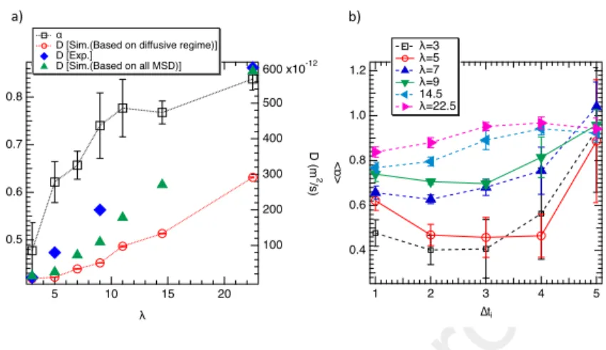 Figure 4: a) &lt; α &gt; (left axis) and translational diffusion coefficient (right axis) as a function of λ