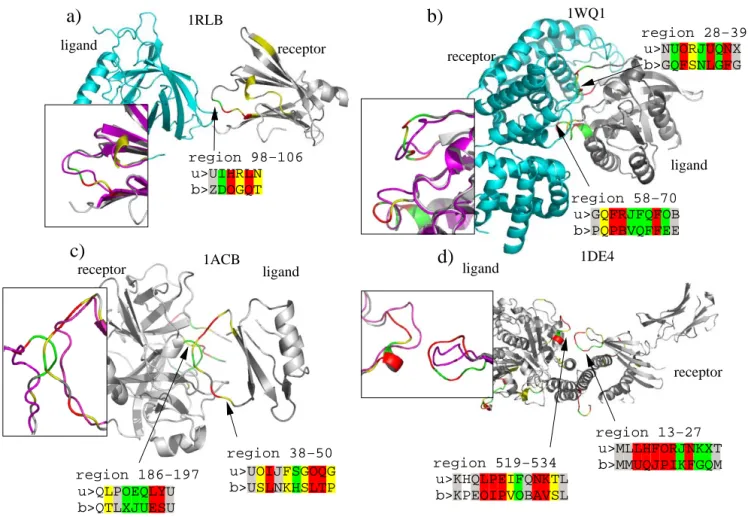 Figure 7 illustrates some examples of structural letter sub- sub-stitutions induced by protein-protein interaction