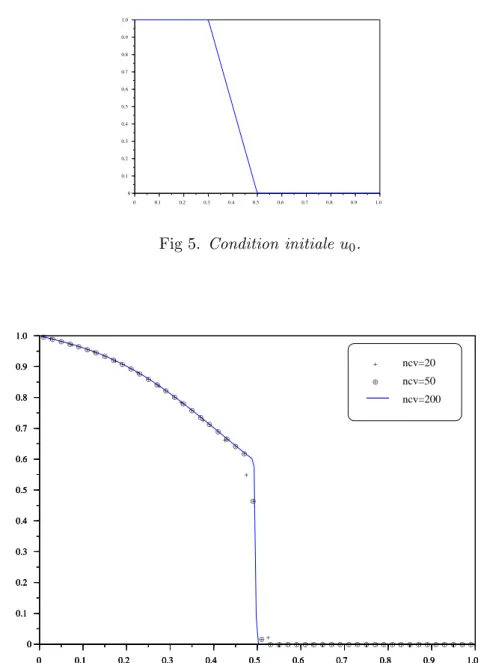 Fig 6. R´ esultats au temps t=0.1 pour diff´ erents maillages.