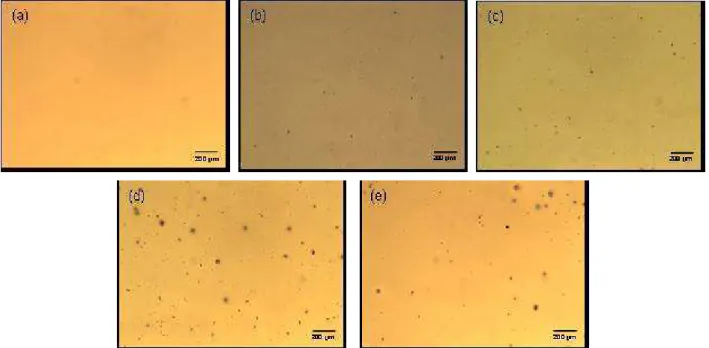Figure I 24. Clichés de microscopie optique en lumière blanche après différentes durées  de photolyse (irradiation en absence d’oxygène en enceinte SEPAP 12/24) : (a) 0 h ; (b) 