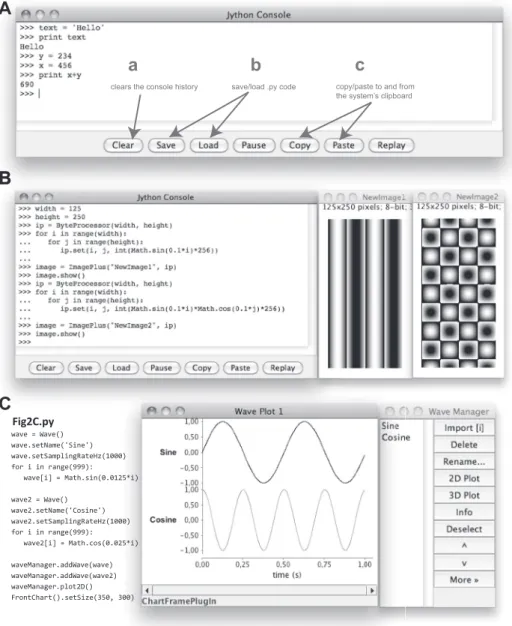 Figure 2A illustrates the Jython console that appears in PhysImage (ij.plugin.frame.Jython_Console.java in Fig
