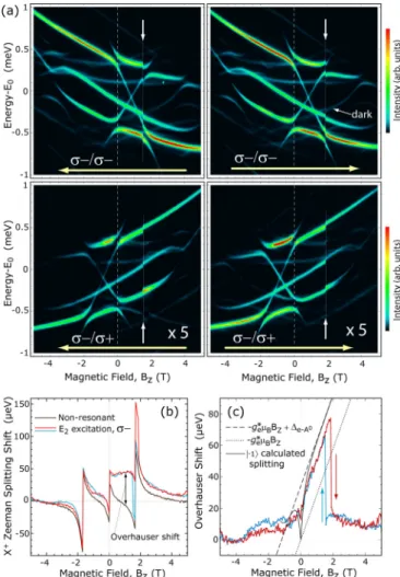 FIG. 4. (a) QD1 PL spectra under quasiresonant σ − excitation [resonance E 2 in Fig. 2(a)] as a function of a decreasing (left) or increasing (right) magnetic field B z and measured in σ − (top) or σ + (bottom) polarization
