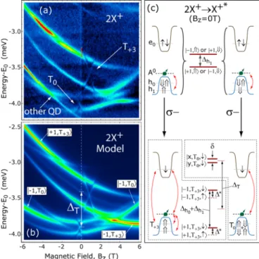 FIG. 7. (a) QD3 PL spectra under quasiresonant (E 0 + 72 meV) unpolarized excitation as a function of the magnetic field B z and measured in σ − circular polarization (E 0 = 1.304 eV)