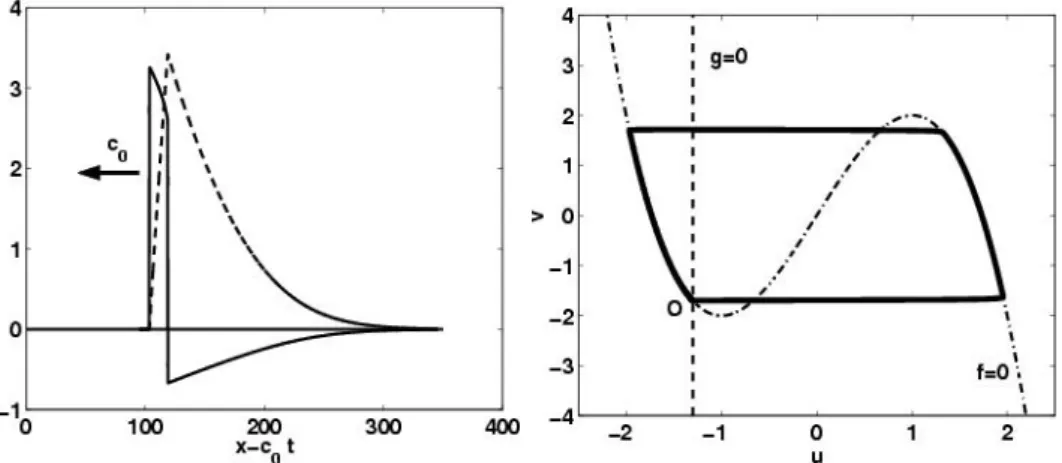 Fig. 2.3 – A droite : exemple de front d’onde se propageant dans le mod` ele de Fitzhugh-Nagumo pour  = 0.01 et δ = − 1.3