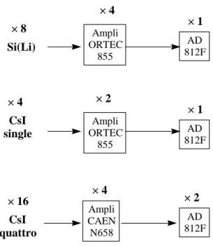 Figure 2.17: Electronique NIM-CAMAC des détecteurs Si(Li), CsI ``single`` et CsI ``quattro``.
