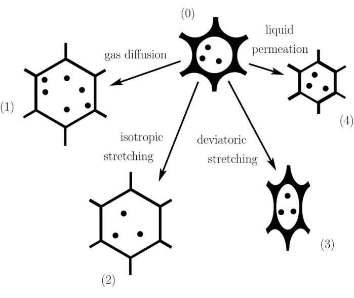 FIG. 8: Four changes in the local structure of a foam. (0) Initial structure. (1) Structure obtained through diffusion of gas from neighbouring regions into the bubble: the number of gas molecules in the bubble (represented by black dots) has increased, wh