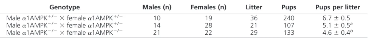 TABLE 1. ␣ 1AMPK ⫺ / ⫺ male mice present a reduced fertility