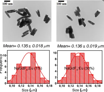 Figure 5 : TEM images and particle size distribution of the -NaGdF 4 :Eu 3+  (1%, 30%)  nanoparticles 