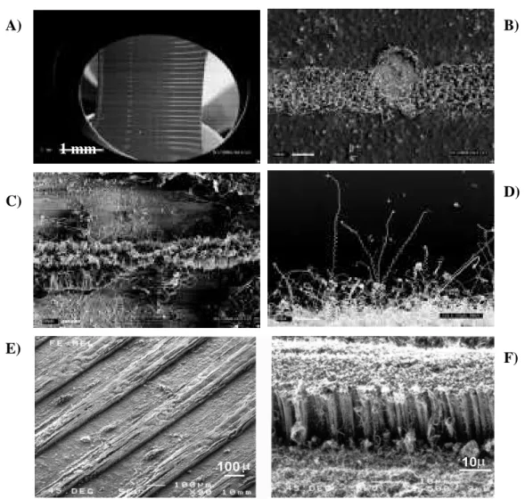 Figure 3-7.- SEM images of etched-catalyst films after being pyrolised in the presence of melamine