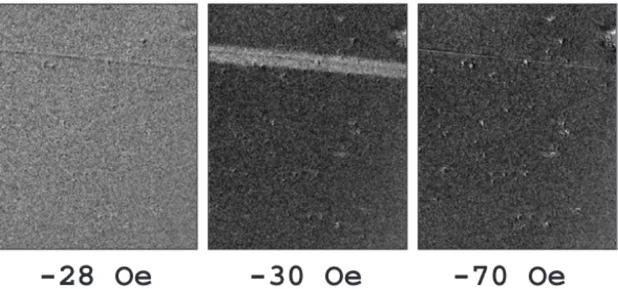 Fig. 2.14 – Images obtenues par microscopie Kerr sur l’´electrode douce. L’in- L’in-dication sous chaque image indique la valeur du champ magn´etique appliqu´e lors de l’acquisition.