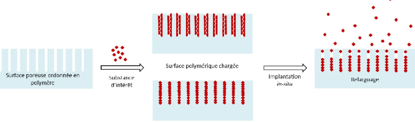 Figure 6 : Représentation de surfaces poreuses ordonnées comme plateformes de libération in- in-situ de substances thérapeutiques