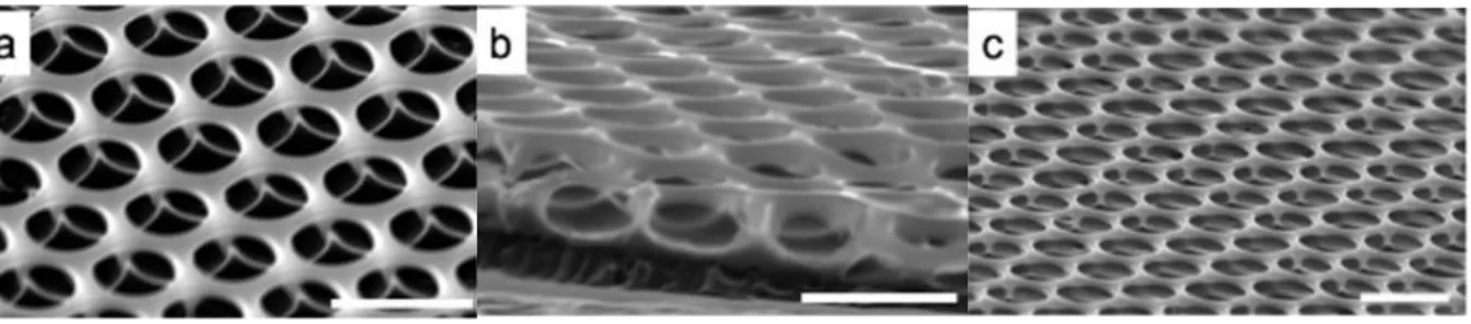 Figure 18 : Images par microscopie électronique à balayage de surfaces obtenues par « breath  figures » prises à un angle de 50°, 75° et 65° pour a, b et c respectivement (134)