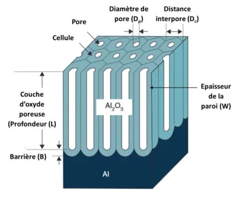 Figure  26 :  Description  de  la  couche  d’alumine  poreuse  et  des  paramètres  géométriques