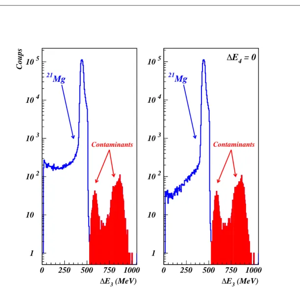 Fig. 2.16: D´ etermination du nombre de noyaux 21 M g produits au re- re-gard de l’´ emission de rayonnement γ (partie gauche de la ﬁgure) et de l’´ emission de protons (partie droite de la ﬁgure)